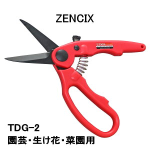 ySALEz yZENCIXz [VbNX | TDG-2@{֎s@|@K[fjO@؂ԁ@t[AWg@ԁ@̉p@|pi@|G