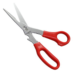 yMtgΉzւ̐n JjoT~@Iׂ閳bsO@Lb`pi@Lb`ObY@ACe@͂݁@Lb`nT~@@\@J@𔲂@ӂN@Mi