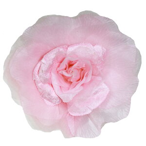 RT[W  傫TCY Nbv sN p[v ubN 1000~