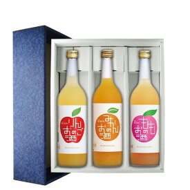 【ギフト箱付】中埜酒造 國盛 フルーツのお酒3本セット 720ml×3本 送料無料