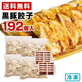 黒豚 餃子 192個 (48個入り×4袋) 博多ラーメン げんこつ 送料無料 冷凍