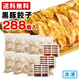 黒豚 餃子 288個 (48個入り×6袋) 博多ラーメン げんこつ 送料無料 冷凍