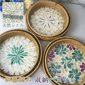 Dg[ ق [oXPbg ҂ Dg[ 25*8CM ^JS M  a[ nht gC H~ VRVF [P[X ҂ ی^ 􂦂