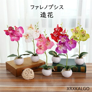 フェイク花 フェイクグリーン ファレノプシス 造花グリーン 枯れない花 人工観葉植物 フェンス 卓上ポット ナチュラルポット フェイク 玄関飾り グリーン モダン インテリア 玄関 室内 プラ