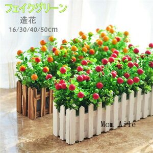 tFCNO[ 30cm ԃO[ lHϗtA tFX |bg i`|bg tFCN ֏ ʕ O[ _ CeA   v^[  ͂Ȃ