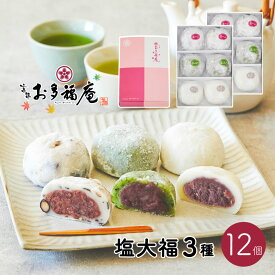 【 送料無料 】 塩大福3種セット12個入 父の日 黒豆塩大福 塩大福 豆大福 つぶあん こしあん よもぎ 羽二重餅 和菓子 詰め合わせ ギフト 京都 お取り寄せ プレゼント ギフトカード スイーツ 自分用