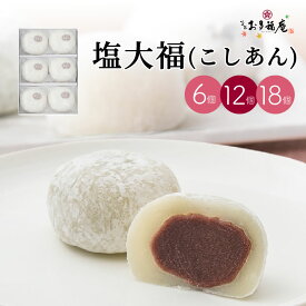 羽二重塩大福 こしあん ホワイトデー 京都 和菓子 大福餅 ギフト お取り寄せ 北海道産あずき使用 人気 スイーツ プレゼント 送料無料