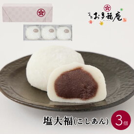 羽二重塩大福 こしあん 3個入り 大福 ギフト お取り寄せ 塩大福 北海道産 あずき 羽二重餅米 人気 和菓子 京都 プレゼント お土産 贈り物 お祝い お礼 お渡し お供え お茶請け 紅茶 コーヒー 緑茶 お菓子 自分用 スイーツ