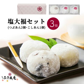 羽二重塩大福 3個セット ギフト お取り寄せ ( 黒豆塩大福 つぶあん 2個 塩大福 こしあん 1個 ) 大福 豆大福 人気 和菓子 詰め合わせ 京都 プレゼント お土産 贈り物 お祝い お礼 お渡し お供え お茶請け 紅茶 コーヒー 緑茶 お菓子