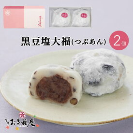 黒豆塩大福 つぶあん 2個入り 大福 ギフト お取り寄せ 北海道産 あずき 黒豆 羽二重餅米 人気 和菓子 京都 プレゼント お土産 贈り物 お祝い お礼 お返し お渡し お供え お茶請け 紅茶 コーヒー 緑茶 お菓子 自分用 スイーツ