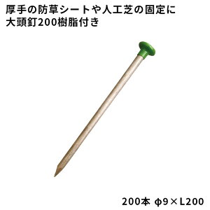 yhV[gށz@哪B200t@y9×L200z@200{@ibNX S1000ElHłɃIXX@040037