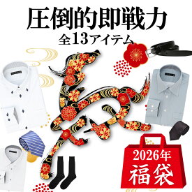 【合計13点】福袋 2026 メンズ ワイシャツ ネクタイ 靴下 ベルト タイピン 中身が見える福袋 新春 まとめ買い オトク お得 新年会 at-ml-fuku-1160宅配便のみ 形態安定 ノーアイロン カッターシャツ ビジネスシャツ 父の日