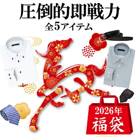 【合計5点】 福袋 2026 メンズ ワイシャツ ネクタイ ベルト ビジネス グッズ 中身が見える福袋 新春 まとめ買い オトク お得 商品 景品 at-ml-fuku-1180宅配便のみ【送料無料】 形態安定 ノーアイロン カッターシャツ 父の日