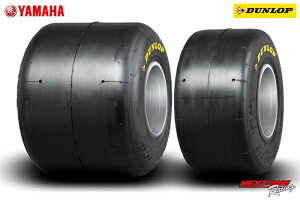݌ɗL^E_bvE}nSL22^C@DUNLOP-SL22@SL[Xw^C