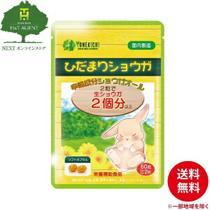 YONEKiCHi I Tv Ђ܂VEK VEKI[ z bh`GLX qnc Y 30 60