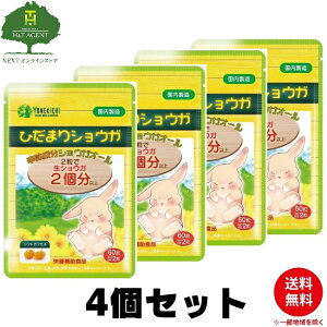 YONEKiCHi I Tv Ђ܂VEK VEKI[ z bh`GLX qnc Y 30 60 4Zbg