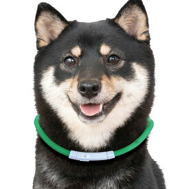 ＼雑誌掲載商品／【楽天1位＆高評価★4.66】超軽量の光る首輪 【送料無料】発熱しない 首輪 光る 光る首輪 ペット LED首輪 小型犬 中型犬 犬 USB充電式 散歩 安全 ドッググッズ 犬用品 おしゃれ かわいい レインボー USB 犬の首輪 夜間発光首輪 虹色 LEDライト 高輝度LED