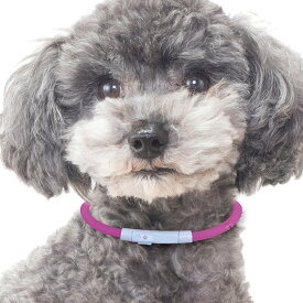 ＼雑誌掲載商品／【楽天1位＆高評価★4.66】超軽量の光る首輪 【送料無料】発熱しない 首輪 光る 光る首輪 ペット LED首輪 小型犬 中型犬 犬 USB充電式 散歩 安全 ドッググッズ 犬用品 おしゃれ かわいい レインボー USB 犬の首輪 夜間発光首輪 虹色 LEDライト 高輝度LED