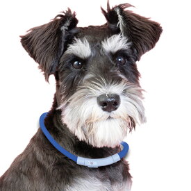 【楽天1位★4.68】夜道に映える 光る首輪 わずか50g！ 超軽量 長さ調整可 カットOK 圧倒的な視認性 綺麗 犬 散歩 LED首輪 光る 犬の首輪 USB充電式 小型犬 中型犬 大型犬 常時点灯 点滅 生活防水 事故防止 虹色 レインボー かわいい ペット用品 ドッググッズ 高輝度 LED