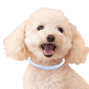 �_�G���f�ڏ��i�^�y�y�V1�ʁ����]����4.66�z���y�ʂ̌����� �y���������z���M���Ȃ� ��� ���� ������ �y�b�g LED��� ���^�� ���^�� �� USB�[�d�� �U�� ���S �h�b�O�O�b�Y ���p�i ������