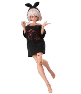 [嗔V�k] RA-01LS 1/12�X�P�[�� PVC&ABS&POM&�z�� �h���ς݉��t�B�M���A