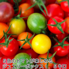 【SALE／97%OFF】 本日限定 カラフルで美しく いろんな味が楽しめます グルタミン酸 リコピン GABAの含有量は一般的なトマトの約3倍 食味は季節によって違います生産地：静岡県浜松市 ミニトマト トマト 新鮮 プレゼント 生産者から直送 ５色のトマトが入ったジュエリーボックス パックなし 1.5キロ お入れする品種配分は収穫状況により変わりますクール便にて配送 gntprod.com gntprod.com