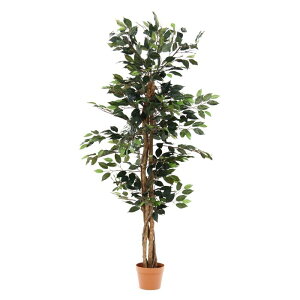 sf lHϗtA ϗtA tBJX 690 A tFCNO[ rO ItBX L Ki 52661