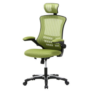 sf ItBX`FA A[Abv`FA[ }X^[III GR CX ֎q fXN`FA p\R`FA ~@\ It wbhXg bLO O[ ItBX E Vv 85181