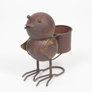 cY ^o[hbN K[fI[ig 4895