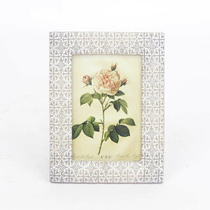 ʐ^ tHgX^h cY tHgt[pbg W KX CeA   킢 3458