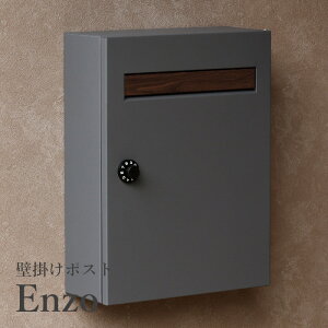 Ǌ||Xg Enzo(GcH) O[ WM-015 X֎ Xփ|Xg    Vv