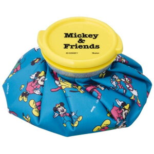 スケーター アイスバッグS MK&フレンズ23 ミッキーマウス ディズニー 氷嚢 氷のう アイスパック 熱中症対策 暑さ対策 スポーツ アウトドア 子ども キッズ 女の子 かわいい キャラクターグッズ