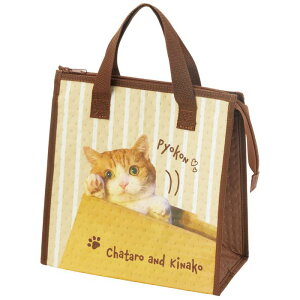 XP[^[ sDzۗobO YƂȂ `obO g[gobO }`L sDz 킢 LN^[ObY q LbY ̎q FBC1