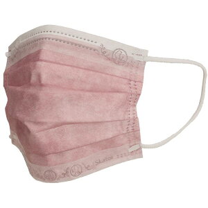 スケーター 不織布プリーツマスク 10枚入り プリンセス MSKPE4 ディズニー マスク かわいい 大人 不織布 不織布マスク 花粉症 衛生 ほこり キャラクター お出かけ 外出 かわいい おしゃれ