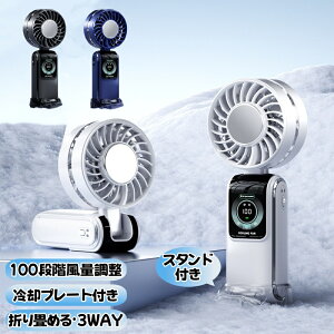 nfBt@ pv[g 2025 gѐ@ `p }p 100Ki lbNt@ 񂩂 莝  É ⊴ ܂ 3600mAh e  X^h USB nfB@ Type-C}[d
