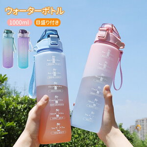 EH[^[{g  1bg ڐt X|[chN{g e ^C}[J[ X|[cp hN{g Rh~  a q LbY _CGbg X|[c