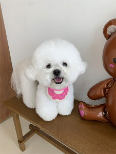 o_i 킢o_i Lp悾ꂩ ru  XJ[t ԕ ߉\ 􂢂₷ Hp U o LpXJ[t ybgo_i t^I  a _炩 