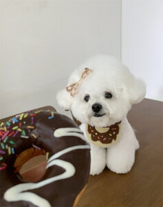 o_i 킢o_i Lp悾ꂩ ru  XJ[t ԕ ߉\ 􂢂₷ Hp U o LpXJ[t ybgo_i t^I  a _炩 