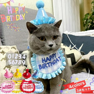  lR  悾ꂩ o_i aj  3_Zbg Xq / 悾ꂩ /  HAPPY BIRTHDAY ߉\ y t^I ru X^C ybgp 킢 y ^  Lp