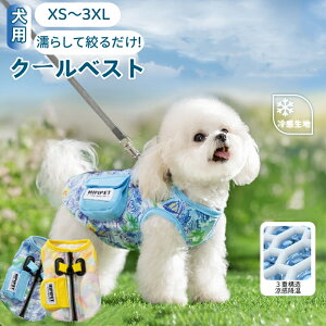 N[xXg MǑ΍ N[xXg pĕ N[xXg ⊴ pxXg n[lX CM Ђ ʋC ^ ėp  [ht hbOEFA ΍ O
