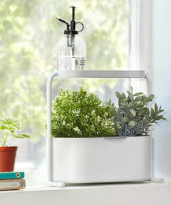 yyV2000~N[|zumbra Au WfBm K[fZbg zCg K[fjO A CeA Ƌ kƋ@v[g Vj ~ NX}X