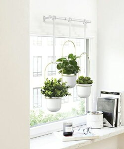 yyV2000~N[|zumbra Au gt[ nLO v^[@K[fjO A CeA Ƌ kƋ@v[g Vj ~ NX}X