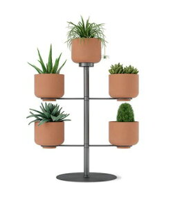 yyV2000~N[|zumbra Au e|b^ v^[ Vo[@K[fjO A CeA Ƌ kƋ@v[g Vj ~ NX}X