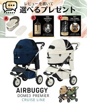 楽天市場】エアバギー フレーム のみの通販