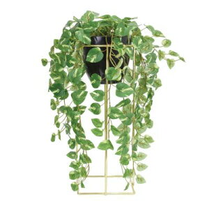 bcl r[V[G tFCNO[ X^h|bg 60cm |gX ACr[ CeA Ƌ kƋ@v[g Vj |Cg10{ H~ nEB