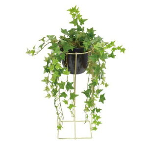 yyV2000~N[|zbcl r[V[G tFCNO[ X^h|bg 60cm |gX ACr[ CeA Ƌ kƋ@v[g Vj |Cg10{ ~ NX}X