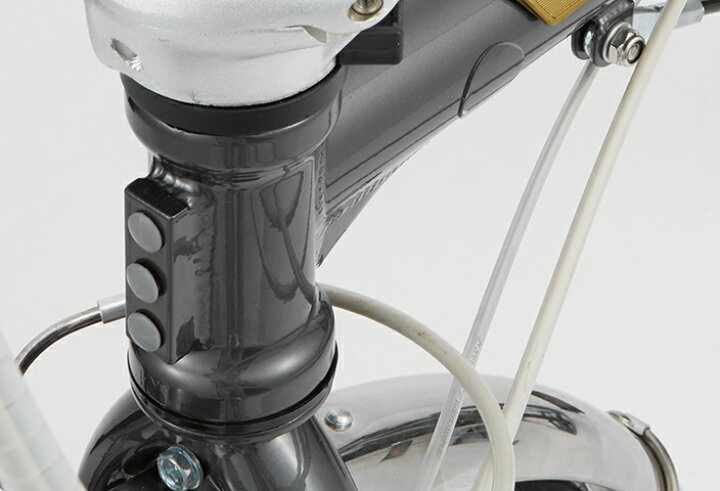 楽天市場】【先着2000円・700円クーポン】 DAHON 2025モデル（継続 