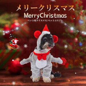 ybgp NX}X ybgpEBbO pRXv ybg 蕨 L  NX}X NX}X L蕨 ybgRXv L   ybgpԂ o|   h