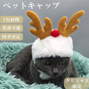 L Xq NX}X  Xq T^ ^ Lp RXv ybg 蕨 H ~ h  NX}X L T^X 킢 H~ h LpEBbO L蕨 ybgRXvL