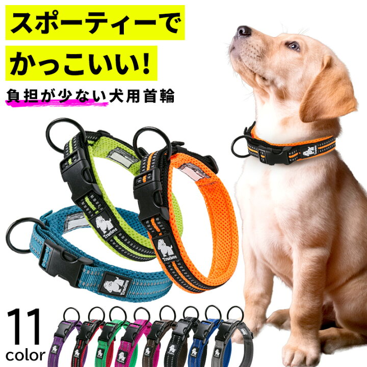楽天市場】首輪 犬 ペット おしゃれ 柔らかい 犬用首輪 犬首輪 犬の 